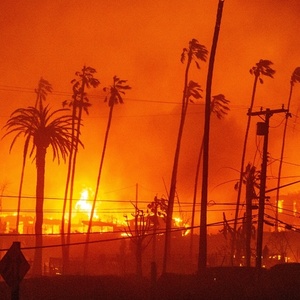 O que incêndios florestais na Califórnia têm a ver com mudanças climáticas?