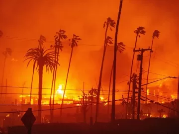 Destruição e agonia: imagens mostram desespero com incêndio na Califórnia