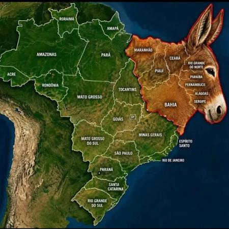 Imagem coloca uma imagem de burro na região Nordeste em um dos ataques