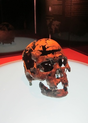 Fundação Museu do Homem Americano