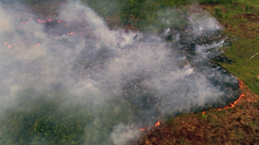 Visão área de um incêndio em Careiro Castanho, região metropolitana de Manaus, em 4 de agosto - Chico Batata/AFP