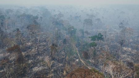 Foto feita por Edmar Barros em Lábrea, após queimadas na região - Edmar Barros