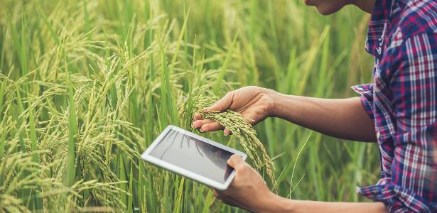 IA transforma gestão de fazendas e aumenta a produtividade