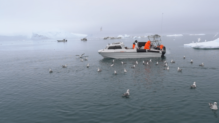 Incapaz de atravessar o gelo marinho com trenós, Kaleeraq Mathaeussen agora só pesca de barco - BBC