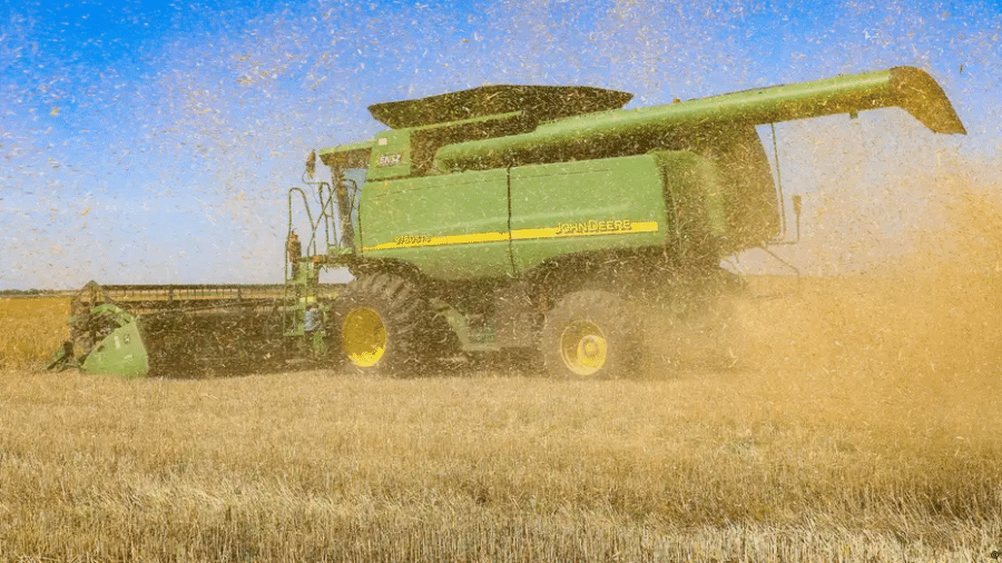 Os grãos produzidos na Ucrânia são essenciais para a segurança alimentar global