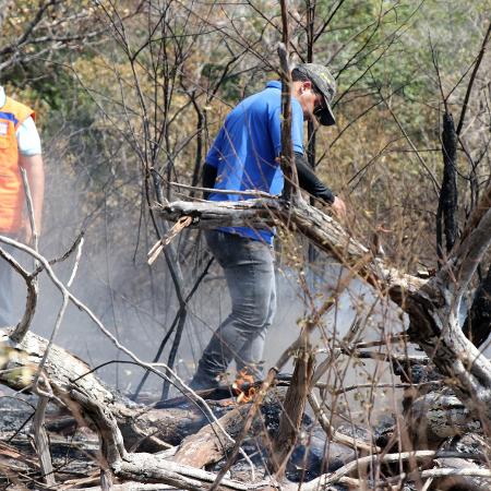 Área de Proteção Ambiental Municipal em Alter do Chão atinginda por incêndios em setembro - Jader Paes /Ag.Pará