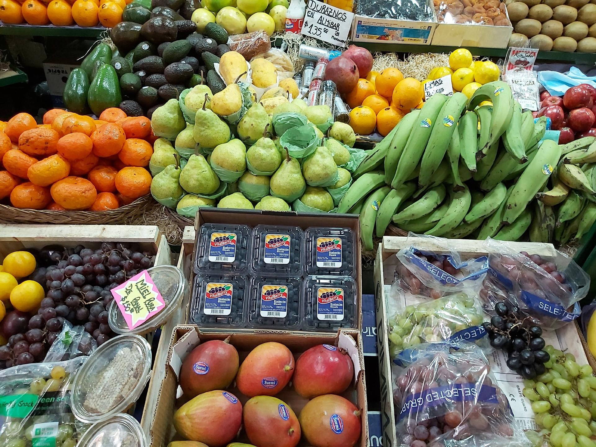 Foto com sensor principal do Galaxy A70 - Rodrigo Trindade/UOL