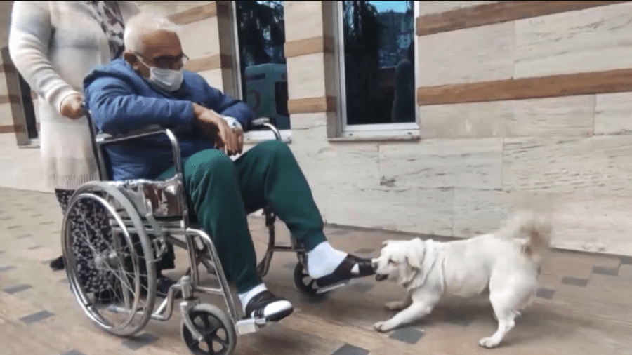 Médicos liberaram dono para encontrar a cadela na porta do hospital, usando cadeira de rodas - Reprodução/YouTube