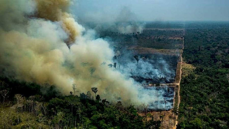 Queimadas na Amazônia diminuíram em relação a agosto - Reprodução/MOV