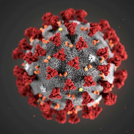 Ilustração 3D do novo coronavírus - Handout .