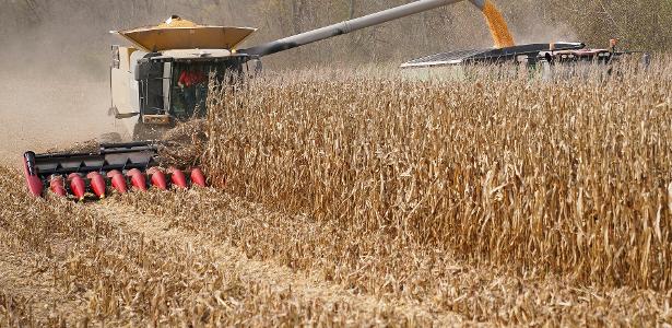 EUA pressionam G20 por ação conjunta sobre impacto da guerra nos alimentos