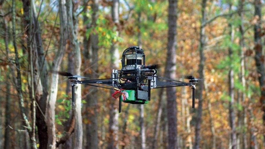Drones mapeiam em detalhes e com precisão árvores e desmatamento no Brasil - Universidade da Pensilvânia