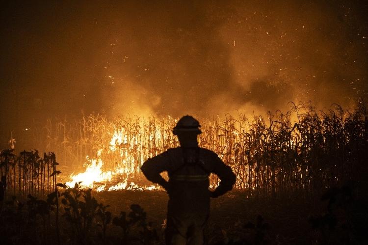 Bombeiro durante incêndio florestal em Ribeira de Fraguas, em Aveiro (Portugal) Bombeiro durante incêndio florestal em Ribeira de Fraguas, em Aveiro (Portugal)
