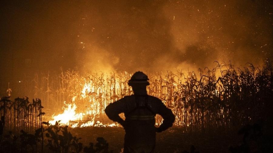 16.set.2024 - Bombeiro durante incêndio florestal em Ribeira de Fraguas, Albergaria-a-Velha, em Aveiro (Portugal) 