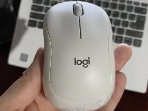 Assinatura para ter mouse para sempre: quem precisa disso?