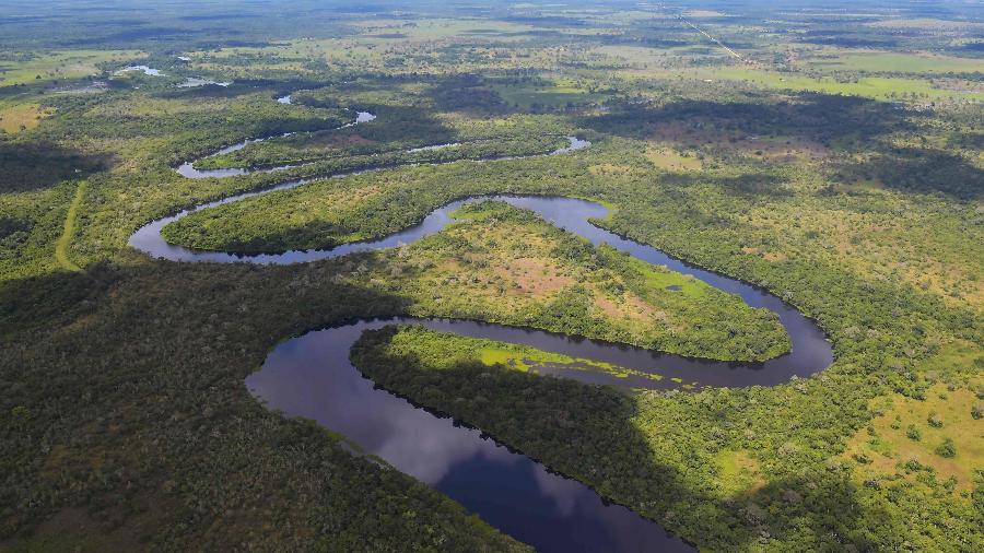 Agricultura na Bolívia e no Brasil eleva pressão sobre Pantanal na fronteira - Carl de Souza/AFP