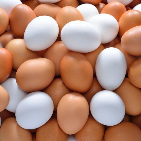 Ovos exigem atenção ao armazenamento - Getty Images/iStock