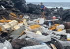 A remota ilha no Atlântico Sul que recebe lixo do mundo todo pelo mar - ZSL, ALICE CHAMBERLAIN