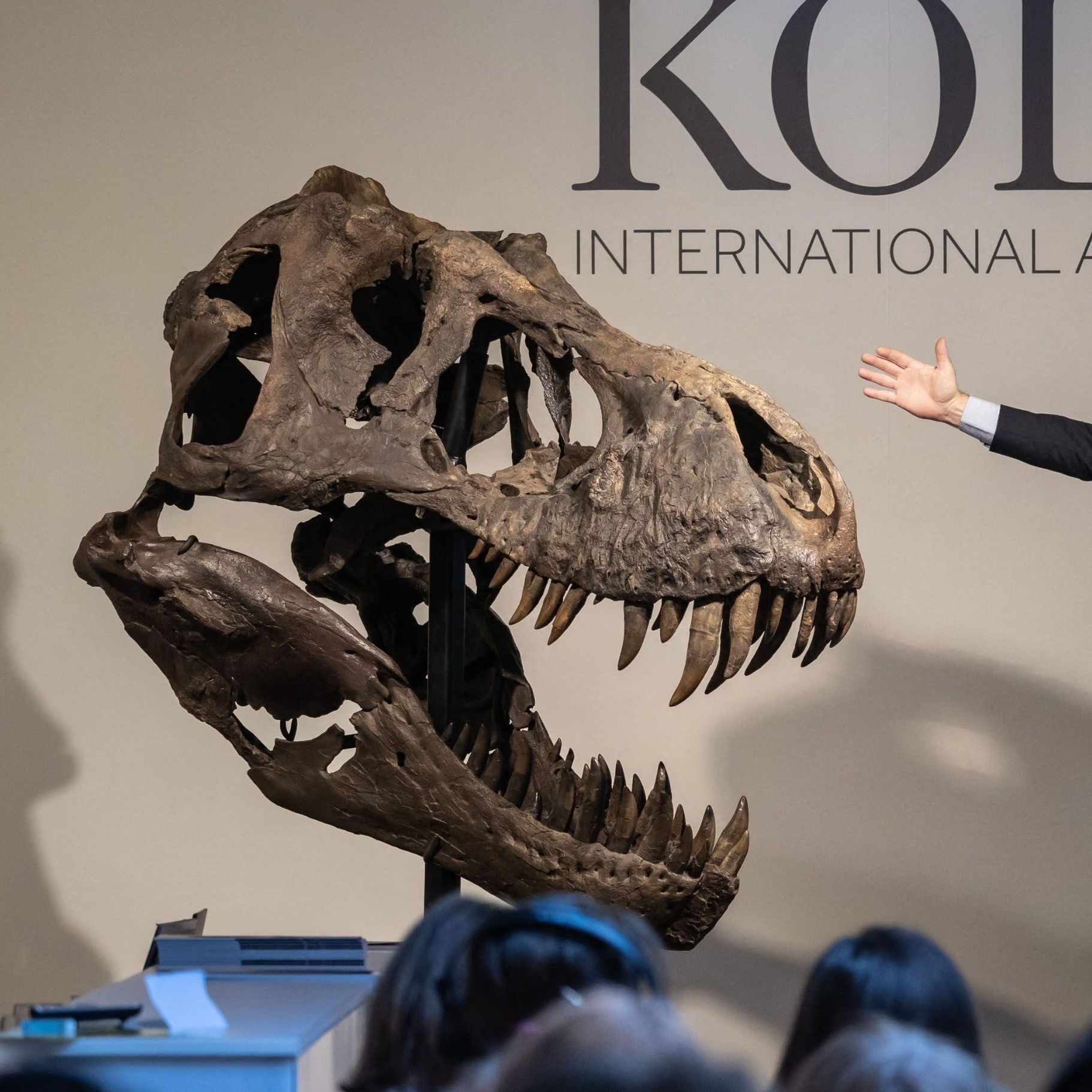 Esqueleto de T-Rex avaliado em R$ 45,3 milhões vai a leilão na Suíça