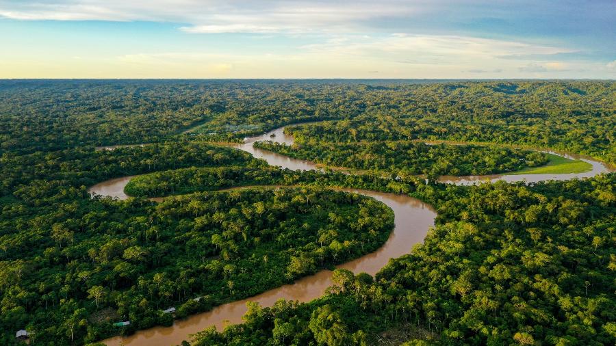 Foto aérea de floresta tropical - Getty Images