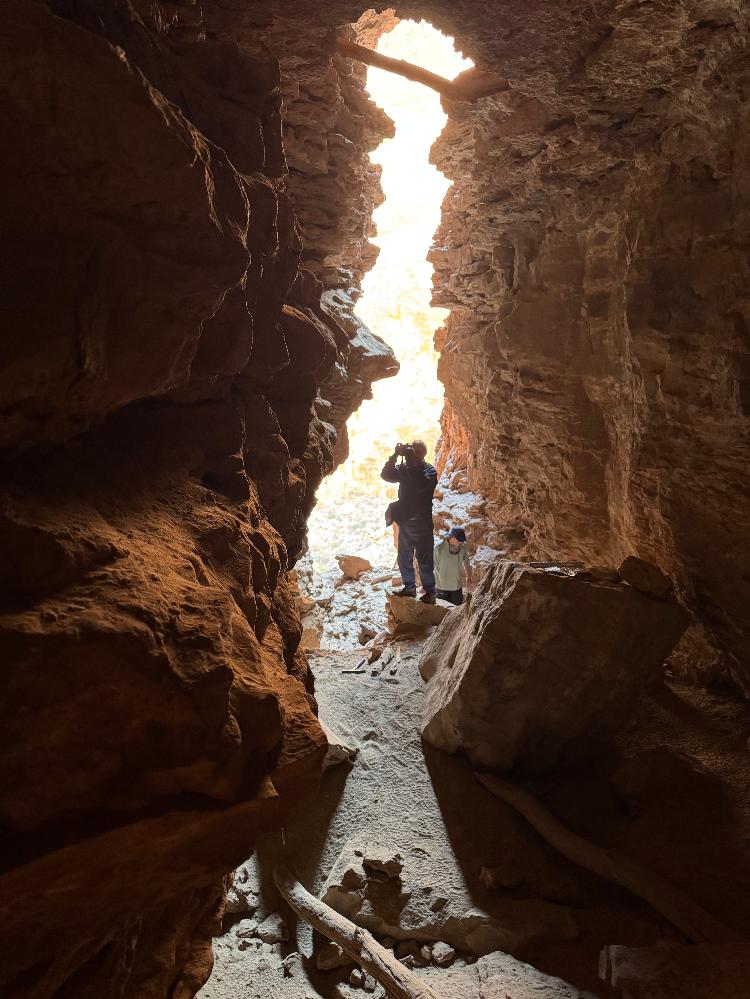 A madeira encontrada em ponto mais alto das cavernas do Grand Canyon; este achado ajudou a calcular o nível a que esta massiva enchente chegou --e como mudou a paisagem local