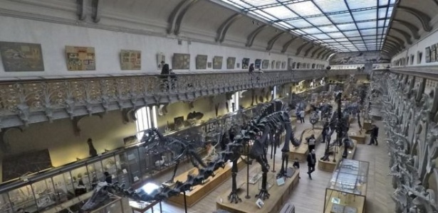 Museu em Paris é um dos maiores do mundo, ao lado do de Londres - Divulgação/MNHN