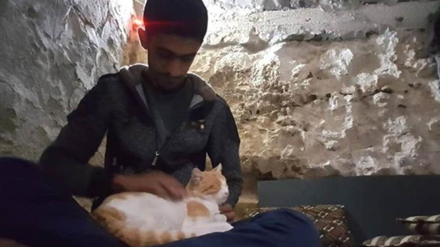 "É reconfortante quando os gatos estão por perto", diz Salah - BBC
