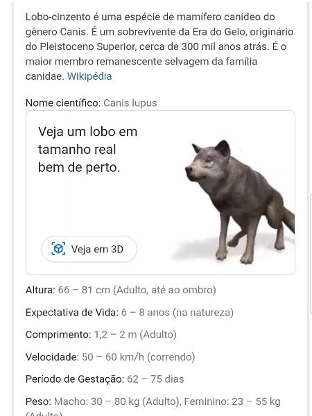 Google permite ver animais em 3D como se estivessem aonde você está –  Jornal do Estado do Rio