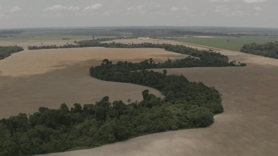 Vista aérea de fazendas de soja em Rondônia - BBC