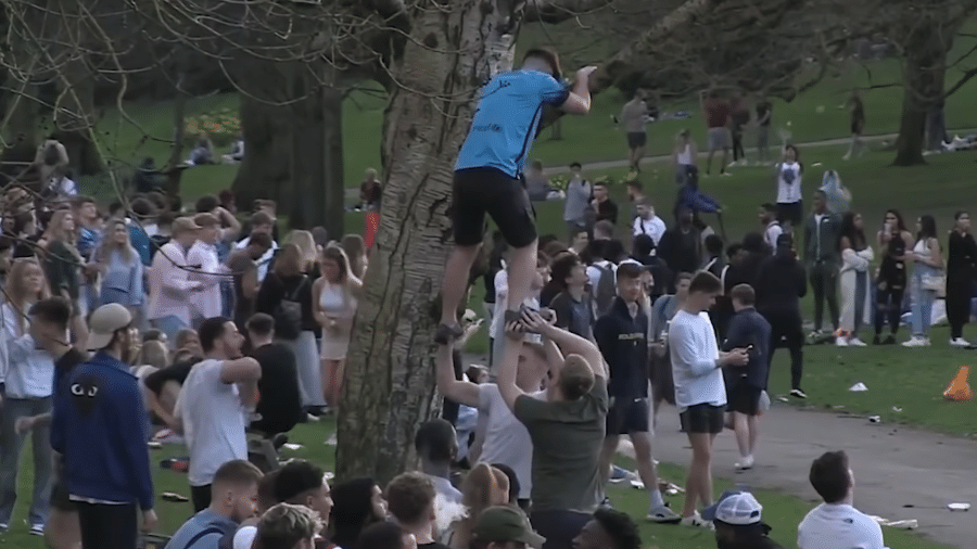 Estudantes ajudam amigo a subir em árvore, em praça de Nottingham - Reprodução/YouTube/The Sun