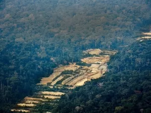 PF fecha três garimpos ilegais na terra indígena Kayapó, no Pará