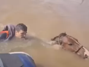 Vice-prefeito de cidade do RS resgata cavalo de enchente: 'Ia morrer ali'