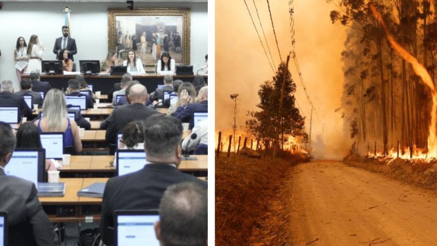 Sessão da CCJ na Câmara analisa PL que perdoa todos os presos no ataque golpista de 8/1, e incêndio de grandes proporções atinge Pico das Cabras (SP)