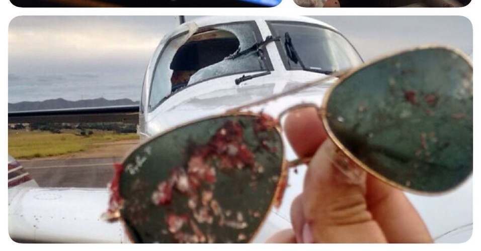 19.jul.2015 - Urubu bate e quebra para-brisa de avião em MG; copiloto Pedro Orsi Vieira teve ferimentos leves no rosto