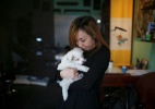 China limita número de cachorros por família - Aly Song/Reuters