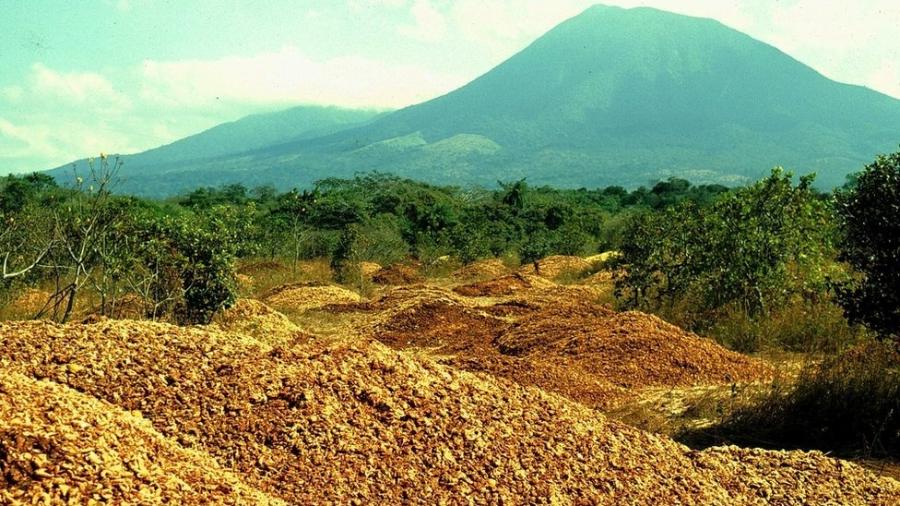 Mais de 1 mil caminhões despejaram 12 mil toneladas de casca e polpa de laranja em pastagens áridas na Reserva Guanacaste, no norte do país - Daniel Janzen e Winnie Hallwachs