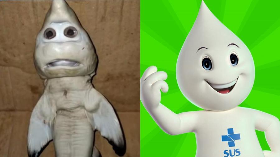 Os brasileiros compararam o tubarão com feição humana ao personagem (e ídolo) brasileiro: o Zé Gotinha - Reprodução/Facebook