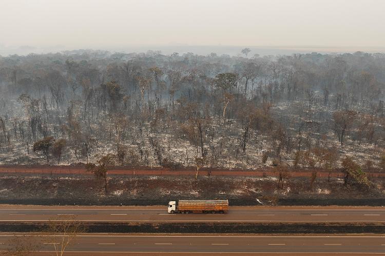 Fogo em vegetação perto de Ribeirão Preto, SP, em 24 de agosto de 2024