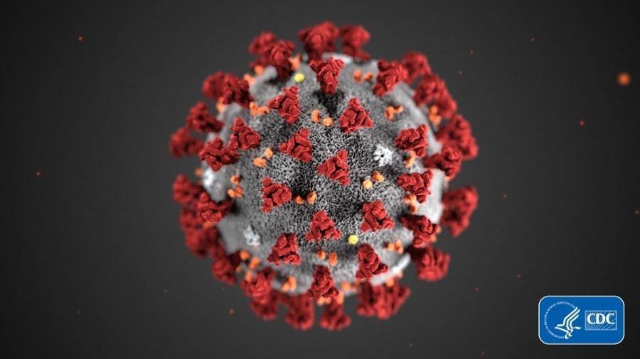 Essa é a aparência do coronavírus, de acordo com o Centro de Controle e Prevenção de Doenças dos Estados Unidos - CDC/Getty Images