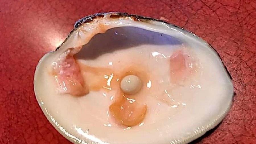 A pérola encontrada dentro de molusco cru por cliente de restaurante em Nova Jersey (EUA) - Arquivo Pessoal