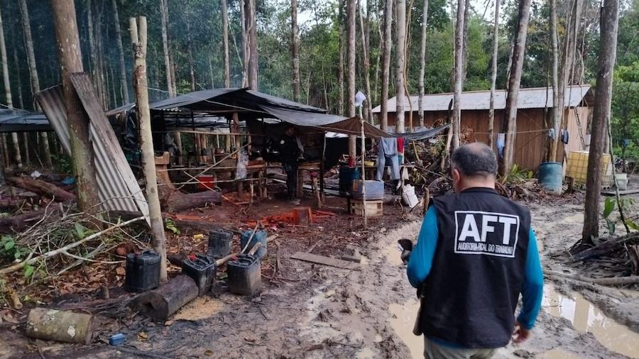 Operação resgata 50 pessoas que realizavam um megadesmatamento no Amazonas