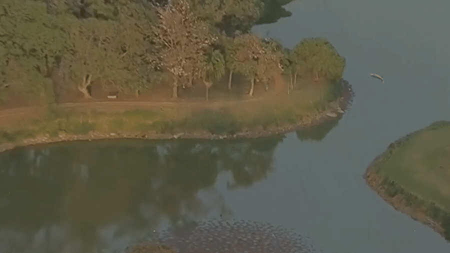 Parque do Ibirapuera, zona sul de São Paulo - Reprodução/TV Record