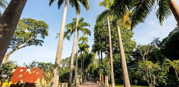Agricultura confirma foco de gripe aviária em aves no BioParque do Rio