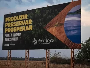 Por soja, Mato Grosso enfraquece acordo que baixou desmatamento na Amazônia