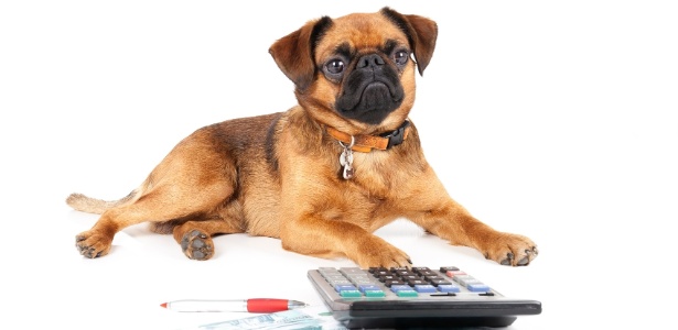 Getty Images/iStockphoto/Vivienstock Getty Images/iStockphoto/Vivienstock