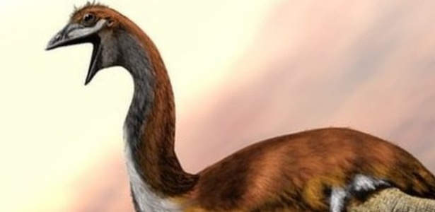 O pássaro gigante de Madagascar pesava meia tonelada e tinha 3 metros de altura. Pesquisas mostram que ele pode ter sido extinto por ação de seres humanos - SPL