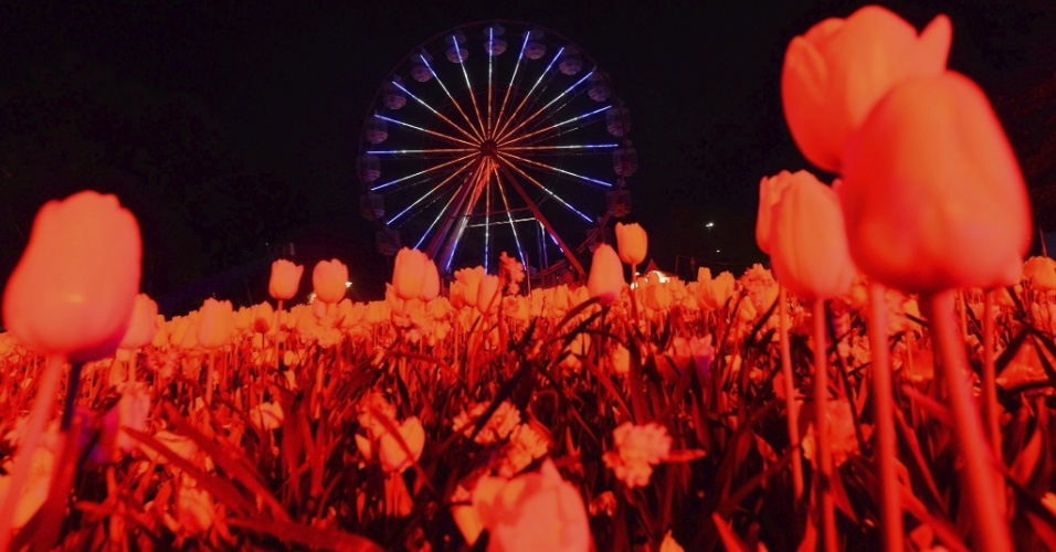 22.set.2015 - Roda gigante é iluminada durante a apresentação do "NightFest", parte do festival anual de flores "Floriade" em Canberra (Austrália)