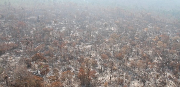  Área devastada por incêndio em reserva indígena no Maranhão - Cimi-MA