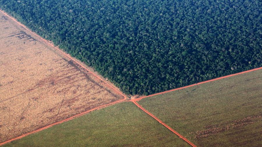 Floresta amazônica cercada por terra preparada para o cultivo de soja, em foto aérea no estado de Mato Grosso - Paulo Whitaker/Reuters