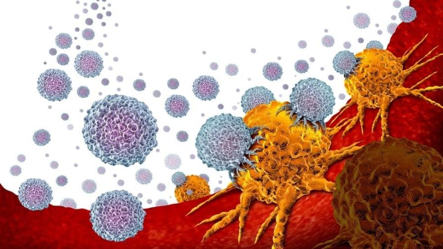 A imunoterapia usa nosso próprio sistema imunológico para reconhecer e atacar células cancerígenas - Getty Images